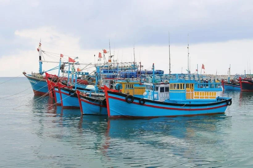 Ben Tre has strengthened fisheries control at fishing ports. (Photo: VNA)