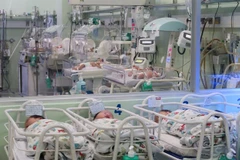 Newborns receiving care at the neonatal department of Hung Vuong Hospital in HCM City. (Photo: VNA)