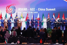 Delegates at the Summit (Photo: VNA)