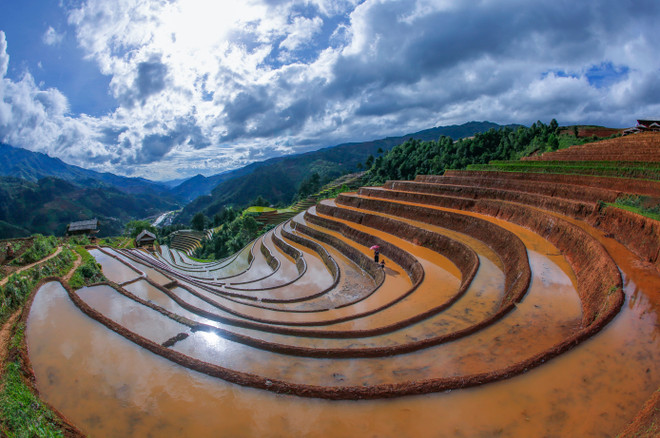 The terraced rice fields have been maintained for hundreds of years. (Photo: VNA) 4.jpg