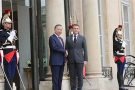 High hopes for French President's visit to Vietnam