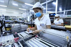 Workers at a factory (Photo: VNA)