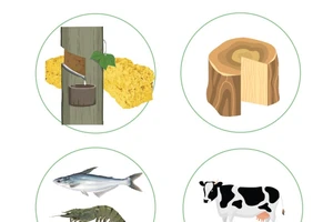 First four months of 2025: Agro-forestry-fishery exports rise by 10.7%