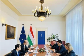 Vietnamese Ambassador to Hungary Bui Le Thai has a meeting with Barna Pal Zsigmond, Deputy Minister and Parliamentary State Secretary at the Ministry of European Union Affairs of Hungary. (Photo: VNA)