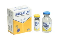 AVAC Vietnam JSC exports the first batch of AVAC ASF LIVE vaccine to Indonesia on June 9. (Photo: avac.com.vn)