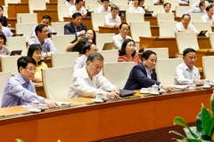 All 470 delegates present at the NA's 9th session vote in favour for the resolution amending key provisions of the Constitution of the Socialist Republic of Vietnam. (Photo: VNA)