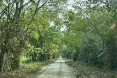 On the road to the U Minh Thuong National Park (Photo: VNA)