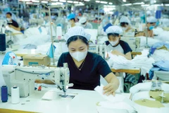 Illustrative photo (baodautu.vn)