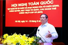 Prime Minister addresses the conference on June 15 (Photo: VNA)