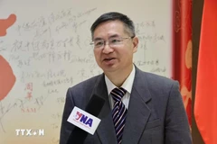 Cheng Hanping, Director of the Vietnam Research Centre at Zhejiang University of Technology. (Photo: VNA)