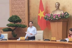 Deputy Prime Minister and Foreign Minister Bui Thanh Son (standing) speaks at the meeting. (Photo: VNA)