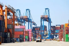 Containers at Cai MepThi Vai Port in Ba Ria Vung Tau province. (Photo: VNA) 