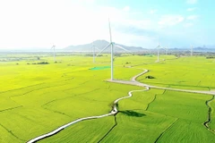 A wind farm in Ninh Thuan province. Vietnam plans to develop two regional services hubs for renewable energy (Photo: VNA)