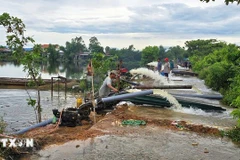 The Phu Ho agricultural cooperative in Phu Ho commune, Phu Vang district, Hue city mobilises manpower and pumps to drain floodwater and save rice crops for local farmers. (Photo: VNA)
