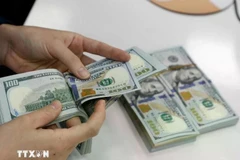 The State Bank of Vietnam sets the daily reference exchange rate at 25,048 VND on June 27 (Photo: VNA)