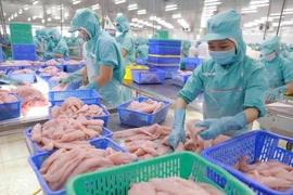 Vietnam’s fishery sector diversifies export markets, products