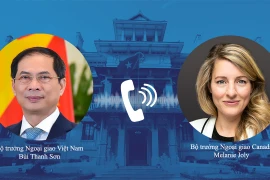 Vietnam willing to beef up comprehensive partnership with Canada: FM