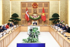 Danish Ambassador: Green Strategic Partnership brings bilateral ties to new level