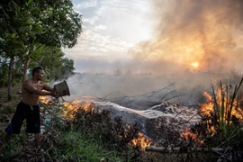 Indonesia discusses solutions to cope with El Nino 