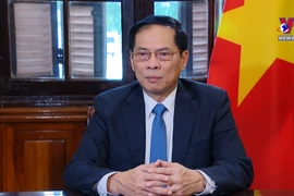 Geneva Accords: A guide to Vietnamese diplomacy 