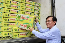 An Giang province exports first batch of acacia mangoes to RoK