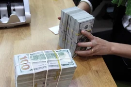 Central bank builds up currency reserves