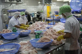 Doors still open for Vietnamese tra fish in US: VASEP 