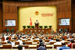 At the 15th National Assembly's 9th session (Photo: VNA)