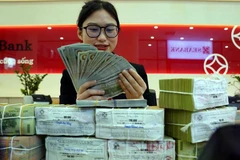 The daily reference exchange rate for the US dollar is set at 24,923 VND/USD on April 11. (Photo: VNA)
