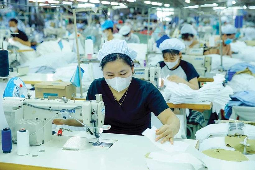 Illustrative photo (baodautu.vn)