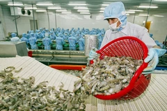 Seafood exports expected to reach 3 billion USD in Q3
