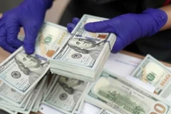 The daily reference exchange rate for the US dollar is set at 24,955 VND/USD on May 22. (Photo: VNA)