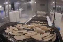 One more Vietnamese pangasius exporter to US enjoys zero tariff