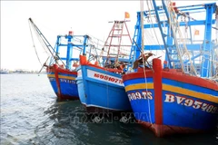 A raft of solutions have been put in place in Kien Giang province to fight illegal fishing. (Photo: VNA)