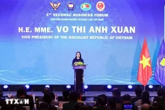 Vice State President of Vietnam Vo Thi Anh Xuan addresses the opening of the first Veterans Confederation of ASEAN Countries (VECONAC) Business Forum in Hanoi on October 25 (Photo: VNA)