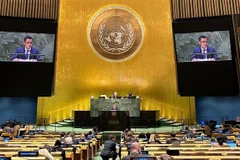 Vietnam calls for end to hostilities, peaceful solutions to Ukraine issue