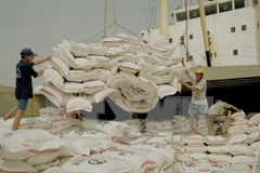 Indonesia plans to import less rice in 2024