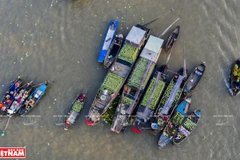 Cai Rang floating market in Mekong Delta hosts cultural festival