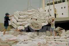 Indonesia to import rice from Vietnam to curb price hikes