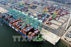 Bustling cargo scene at Tianjin Port, China (Photo: VNA)