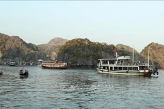 Cruises in Cat Ba Archipelago, a UNESCO World Natural Heritage Site (Photo: VNA)