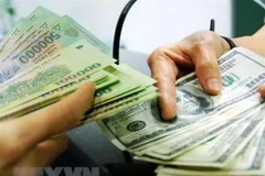 The daily reference exchange rate for the US dollar is set at 24,947 VND/USD on May 28. (Photo: VNA)