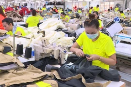Vietnam’s garment-textile industry stitching a greener future